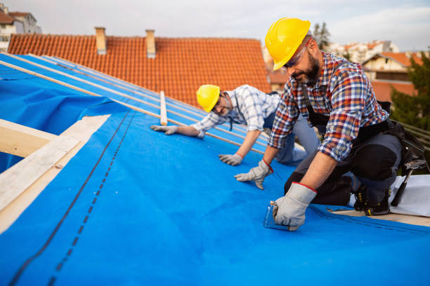 Roof Insulation Installation in Jefferson, NC